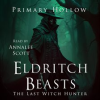 The_Last_Witch_Hunter
