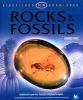 Rocks___fossils