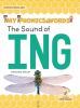 The_sound_of_ING
