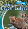 Inside_beaver_lodges