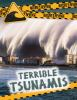 Terrible_tsunamis