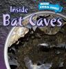 Inside_bat_caves