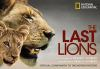 The_last_lions