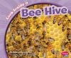 Look_inside_a_bee_hive