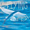 Flying_fish