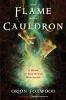 The_flame_in_the_cauldron