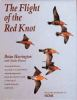 The_flight_of_the_red_knot