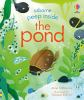 The_pond
