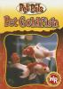 Pet_goldfish