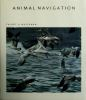 Animal_navigation