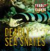 Deadly_sea_snakes