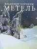 Metel__