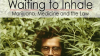 Waiting_to_inhale__Marijuana__Medicine_and_the_Law