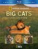 Big_cats_collection