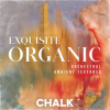 Exquisite_Organic_-_Orchestral_Ambient_Textures