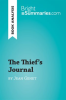 The_Thief_s_Journal_by_Jean_Genet__Book_Analysis_