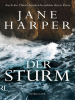 Der_Sturm