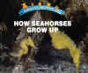How_Seahorses_Grow_Up