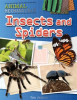 Insects_and_Spiders