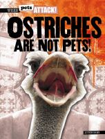 Ostriches_are_not_pets_