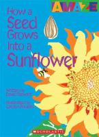 How_a_seed_grows_into_a_sunflower