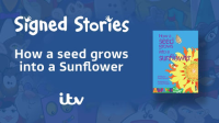 How_a_Seed_Grows_into_a_Sunflower