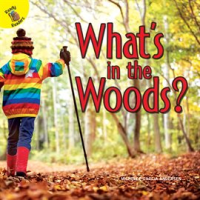 What_s_in_the_Woods_
