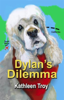 Dylan_s_Dilemma