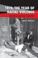1919__the_year_of_racial_violence