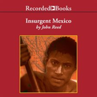 Insurgent_Mexico