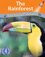 The_Rainforest