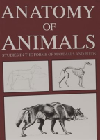 Anatomy_of_Animals__Studies_in_the_Forms_of_Mammals_and_Birds