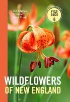 Wildflowers_of_New_England