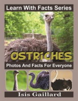 Ostriches_Photos_and_Facts_for_Everyone