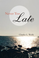 Never_Too_Late